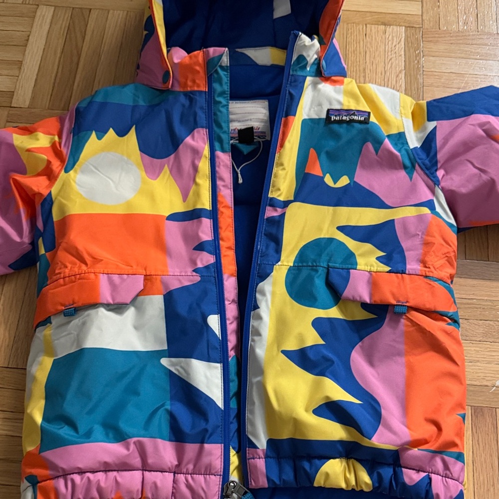 Patagonia Colorful Kids Jacket